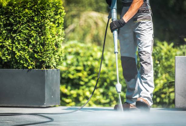 Best Animal Enclosure Cleaning  in American Fork, UT